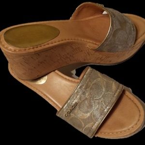 Coach Metallic Joanne Platform Wedges